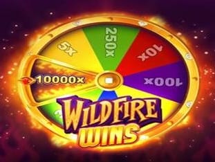 Wildfire Wins game cover