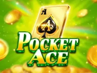 Pocket Ace game cover